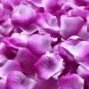 Purple stripe roseblader til bryllupsfesten ABELONE.NO Nettbutikk